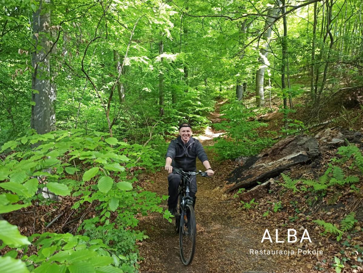Alba Gora Sw Anny Restauracja I Pokoje Gora Swietej Anny Экстерьер фото