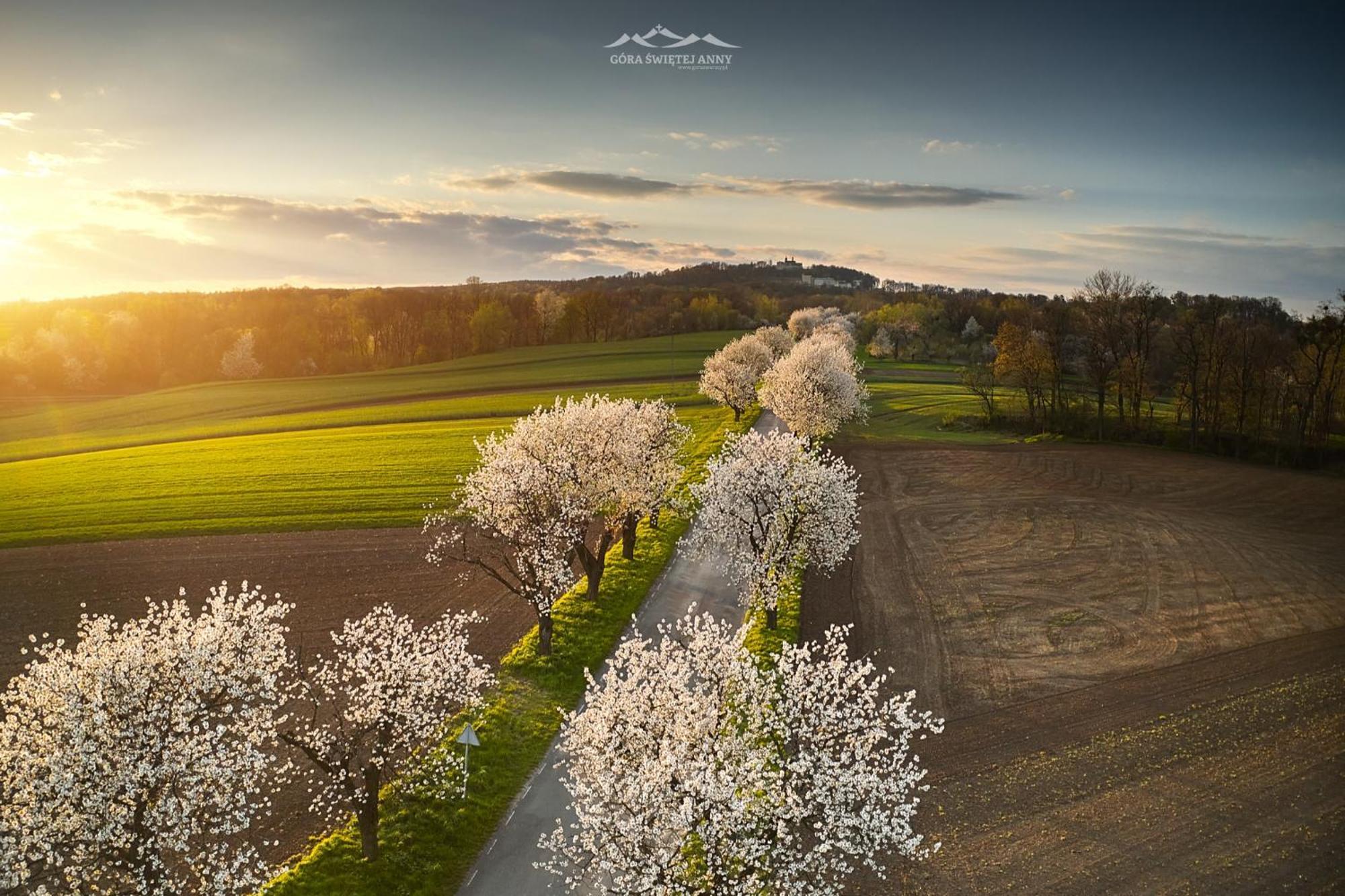 Alba Gora Sw Anny Restauracja I Pokoje Gora Swietej Anny Экстерьер фото